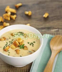 Fragrant mushroom soup with croutons