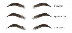 Eyebrows according to the type of bend: rounded, triangular, curved