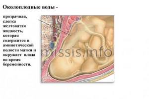 What is amniotic fluid