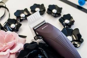 What is hair polishing, features and technology, as well as the pros and cons of the procedure