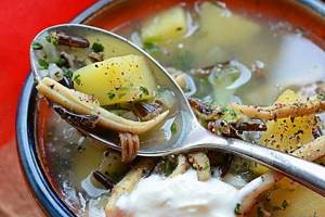 Diet soup with squid - recipes