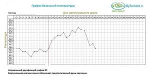 Two-phase basal temperature chart