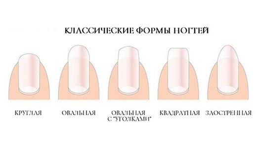 toenail shapes