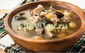 Mushroom soup soup