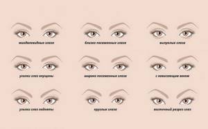 как определить формы глаз