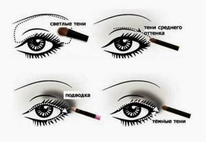 How to apply eye shadow correctly, taking into account your eye shape and shape?
