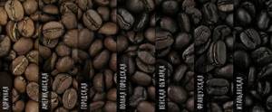 Как правильно выбрать кофе? Типы обжарки кофе