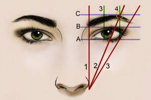 How to choose your eyebrow shape