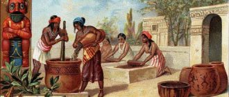 какао история происхождения