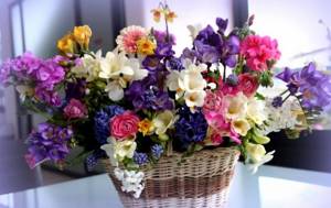 what flowers are best to give for a birthday?