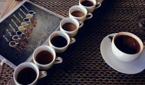 Каппинг кофе: что это такое и как проводится