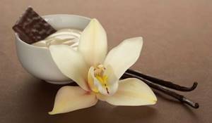 Coffee with vanilla: benefits and harms