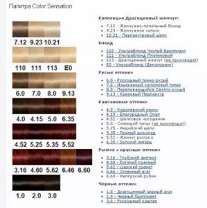 Garnier hair dye - color palette, features, benefits