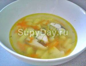 Light fish soup