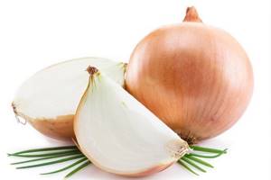 Onion for hair loss