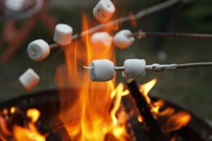 Marshmallows can be roasted in a fire