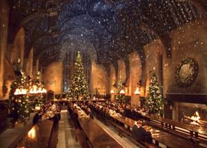 New Year at Hogwarts
