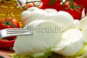 step-by-step mozzarella recipe with photos - cheese is ready