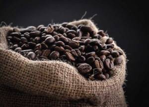 Производство натурального кофе как бизнес