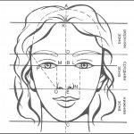 face dimensions