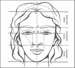 face dimensions