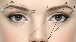 Adjusting the width and length of the eyebrows