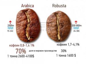 Turkish coffee bean rating