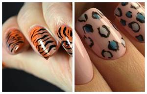 Nail designs with animal print, photo