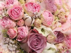 Pink roses in a bouquet.