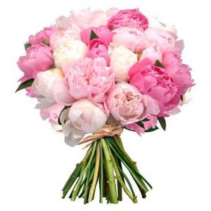 The most beautiful bouquets of fresh flowers photo1