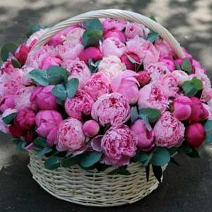 The most beautiful bouquets of fresh flowers photo4