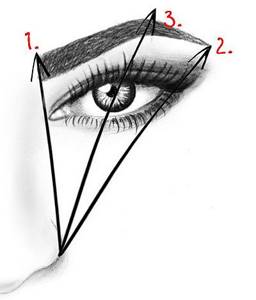 diagram of how to pluck eyebrows