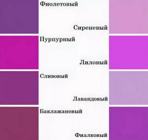 lilac shades