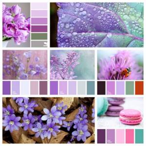 lilac color combinations