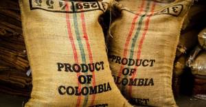 Colombian coffee variety