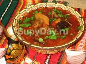 Stewed soup with mushrooms