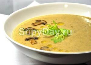 Cream soup with chicken and champignons
