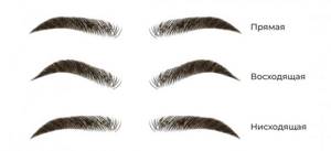 Types of eyebrow shape: straight, ascending and descending