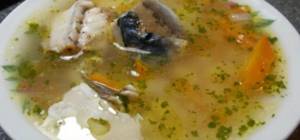 Fresh frozen mackerel soup: 5 recipes for making fish soup