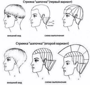 Women&#39;s hat: haircut diagram